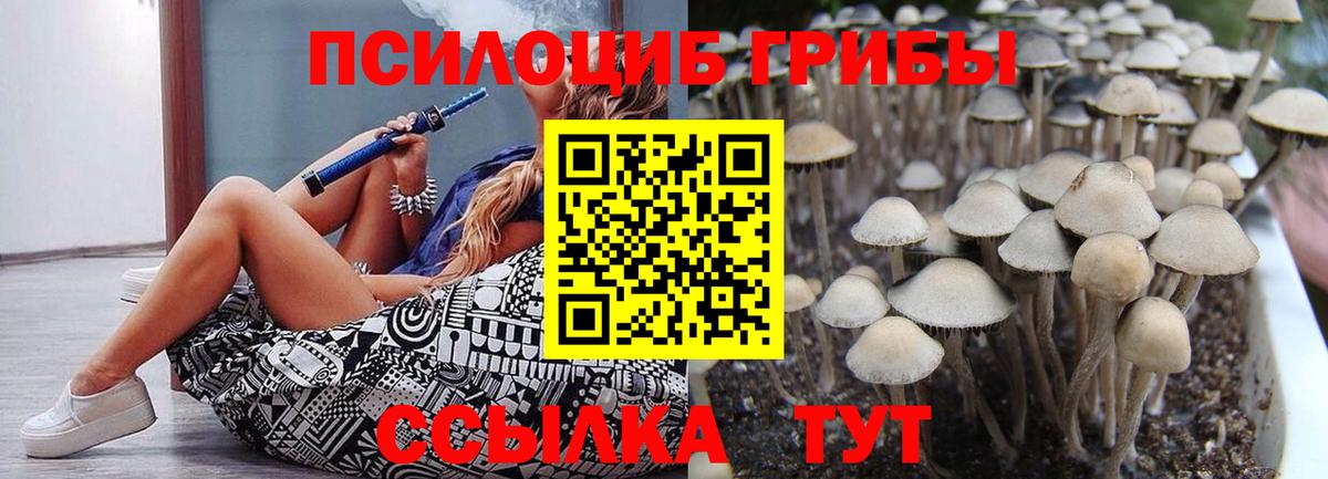 Галлюциногенные грибы MAGIC MUSHROOMS Курчалой