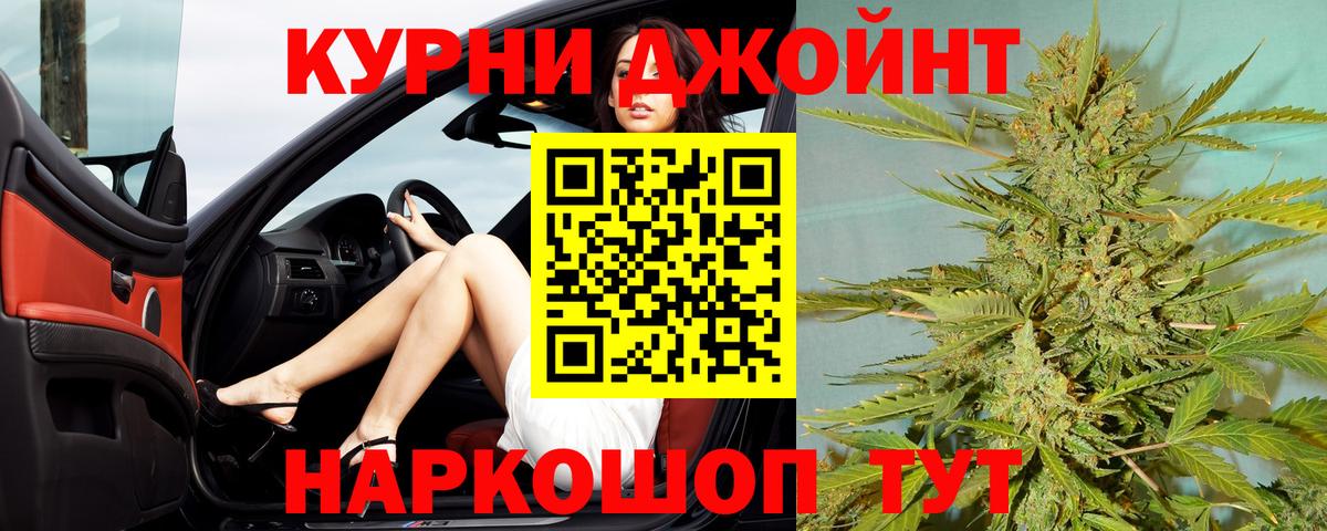 Бошки Шишки семена Курчалой